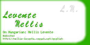 levente mellis business card